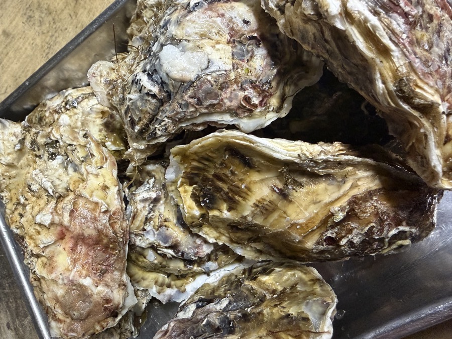 殻付きの牡蠣